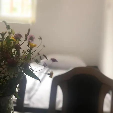 Sun And Fun Kopaonik *