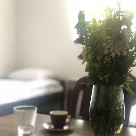 Sun And Fun Kopaonik *