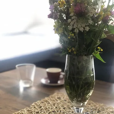 公寓 Sun And Fun Kopaonik *