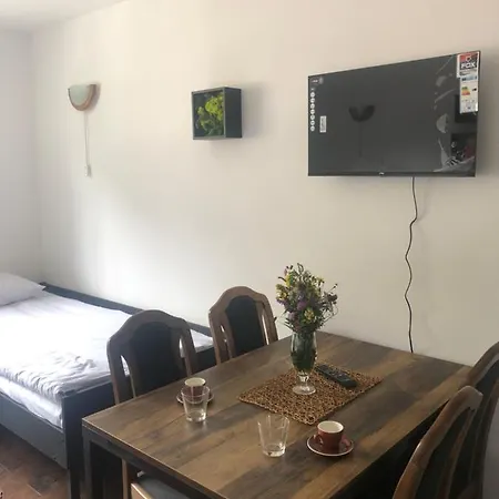 Sun And Fun Kopaonik 公寓 *