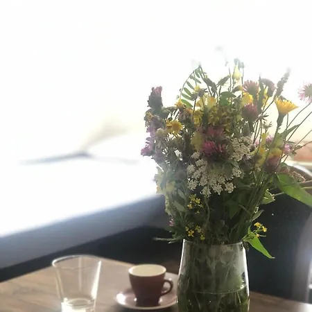 Sun And Fun Kopaonik *