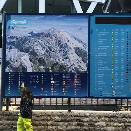 公寓 Sun And Fun Kopaonik Brzeće