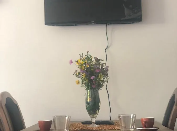 Sun And Fun Kopaonik Apartamento Brzeće