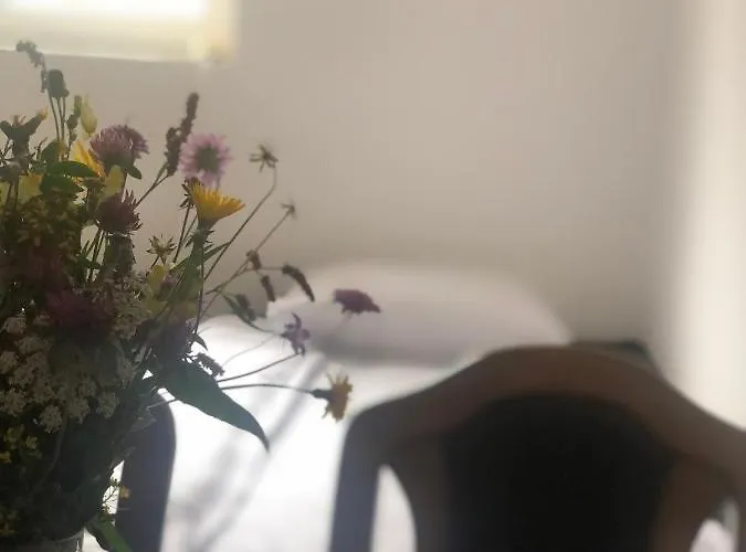 Sun And Fun Kopaonik *