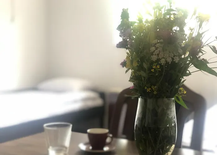 Sun And Fun Kopaonik *