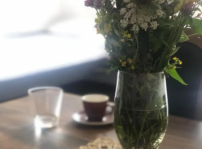 Apartamento Sun And Fun Kopaonik *