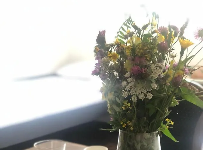 Sun And Fun Kopaonik *